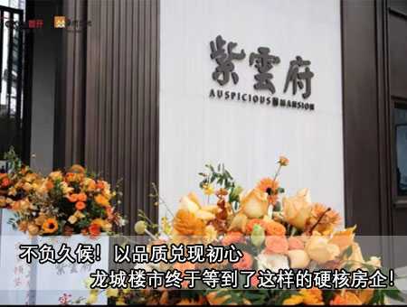 不负久候！以品质兑现初心 龙城楼市终于等到了这样的硬核房企！