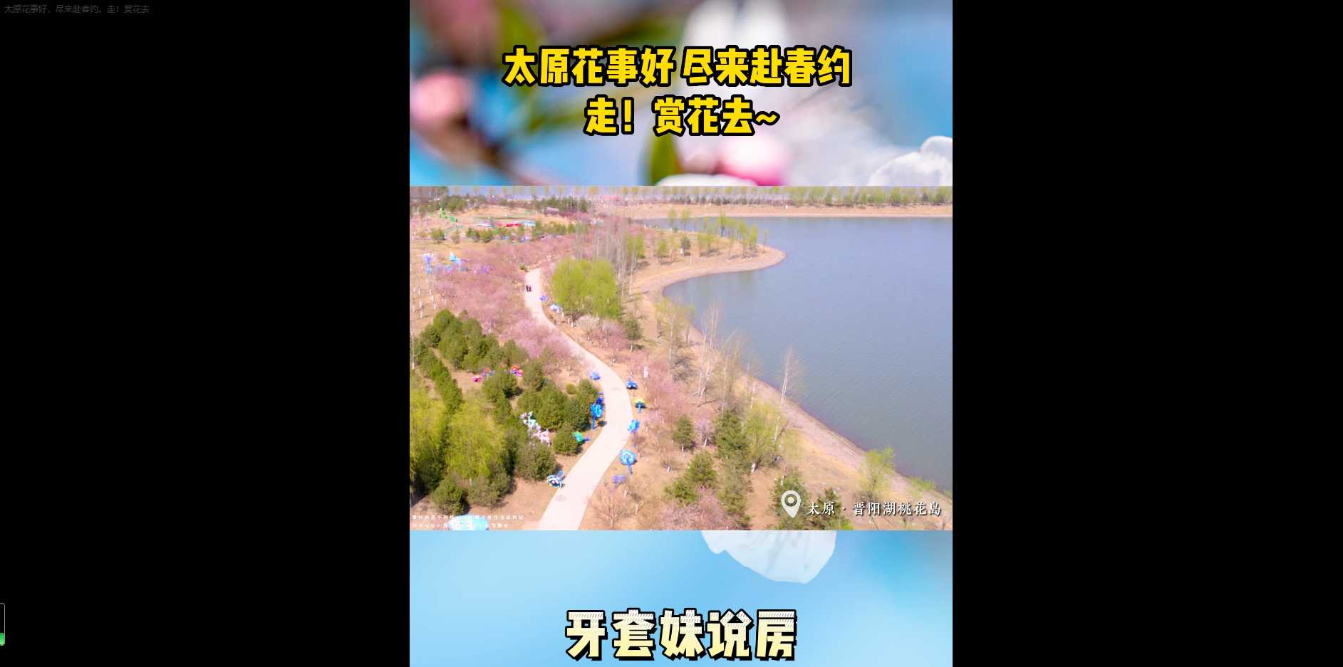 【牙套妹说房】阳春三月 春风送暖 你赏花了吗？ 