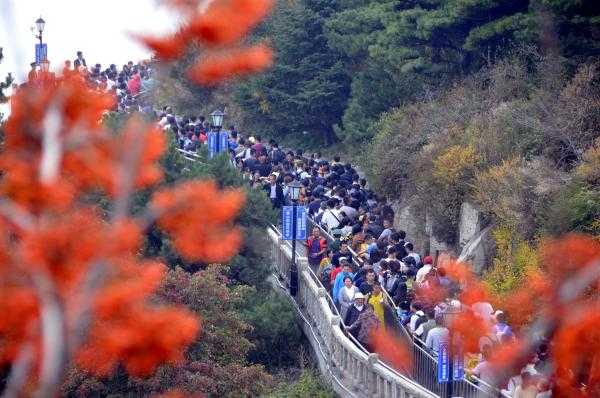 消费市场活跃快递量激增 假期旅行年轻人热衷随买随寄