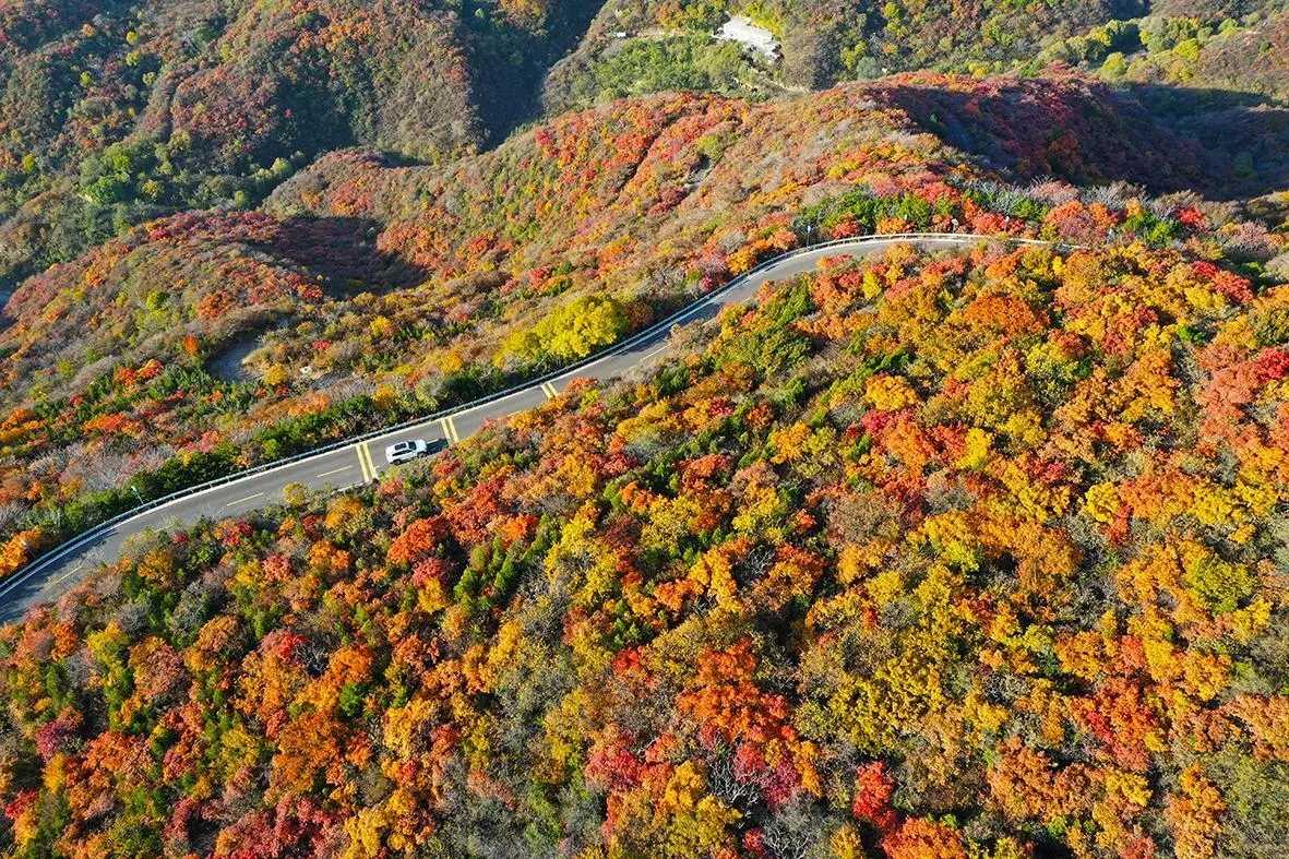 龙山太山红叶文化节启动 看西山红遍 品晋阳文化