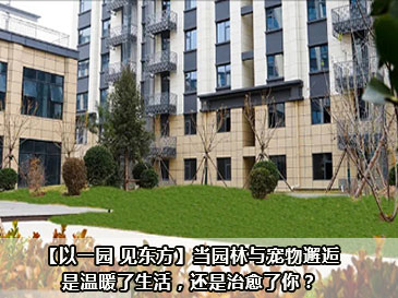 【以一园 见东方】当园林与宠物邂逅，是温暖了生活，还是治愈了你？