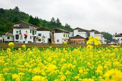 星罗棋布功能健全 去年我市新建小游园街头绿地等114处 