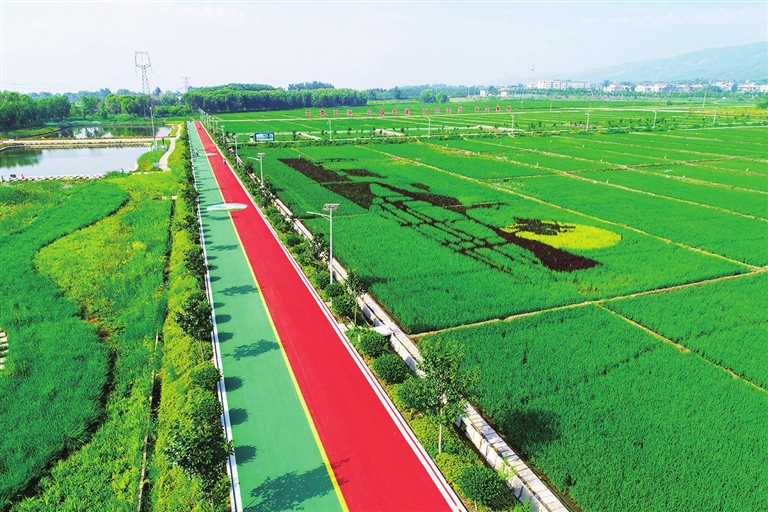 太原环境空气质量稳中向好 PM2.5浓度同比下降超两成 