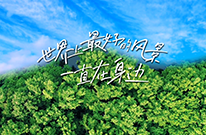 让栖居日常浸润在自然与诗意的从容褶皱里~