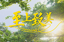 归家即是度假，心情随之放松