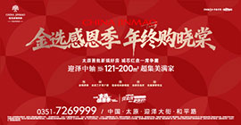 金选感恩季  年终购晓棠