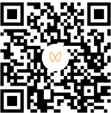 献给少数派的城市终藏之作~