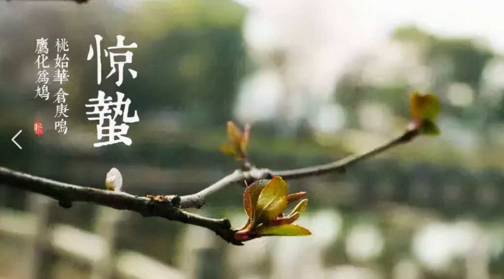 惊蛰养生：护阳养肝，防湿御寒 坚持三喝三捂三动