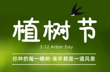 市民讲述植树故事 种下小树苗 城市添绿意