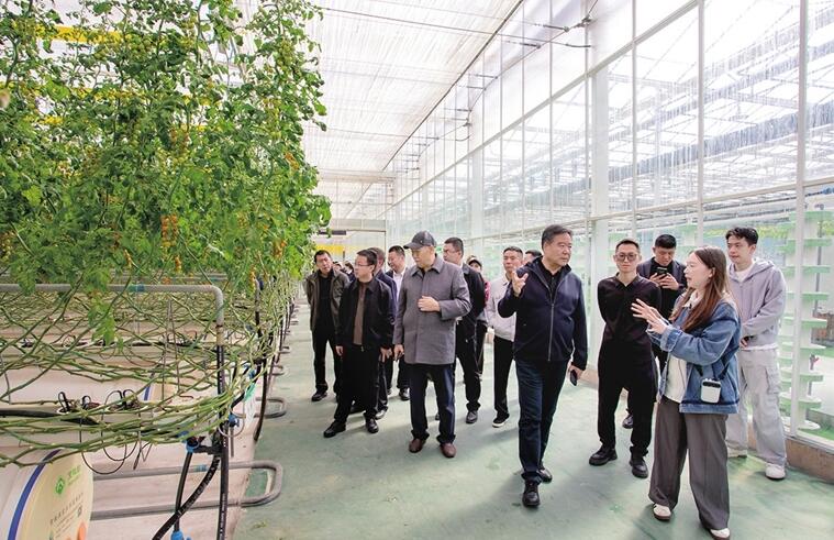 阳曲县泥屯镇：民俗盛会聚人气 招商引智促振兴