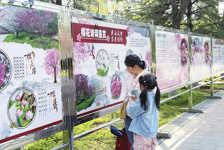 边玩边学自然知识 春日公园成“亲子课堂”