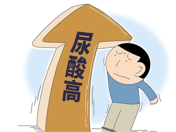 尿酸超标年轻化 警惕小肚腩里的“隐形杀手”