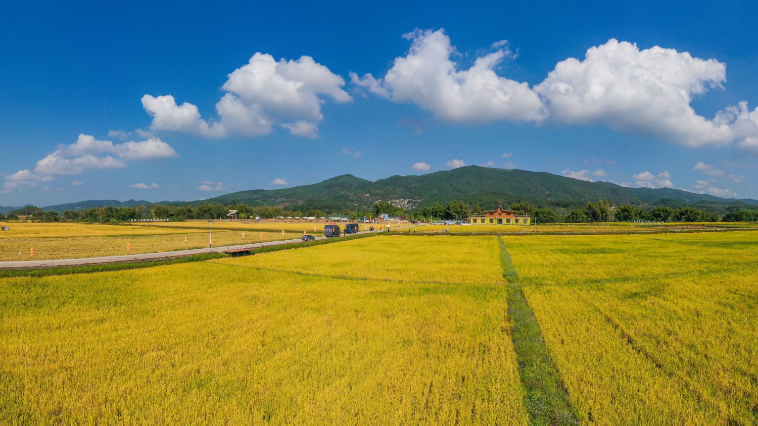 一线摸排解难题 我市发力整治高标准农田建设突出问题