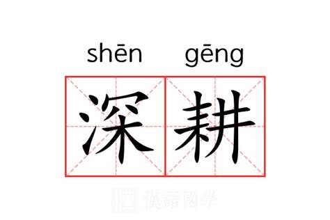 央媒看太原｜中新网关注太原文化惠民深耕基层一线