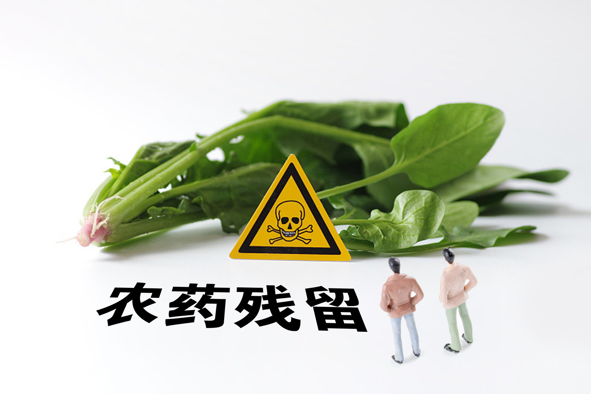 重点筛查农药残留 二十一家大型连锁商超纳入快检范围