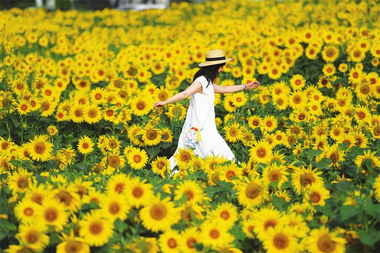 凭松弛感圈粉游客 夏日太原文旅活力迸发