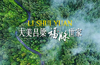 将惬意日常纳于其间